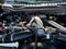 2022 Ford F-350SD Platinum Shortbed