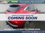2025 Ford Escape Hybrid Platinum