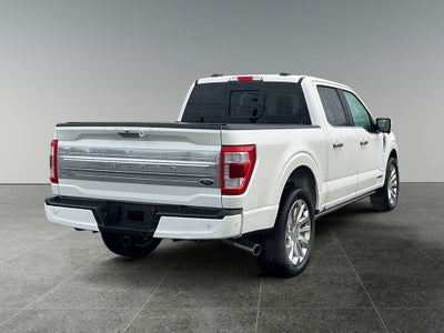 2023 Ford F-150 Limited