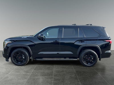 2025 Toyota Sequoia Limited