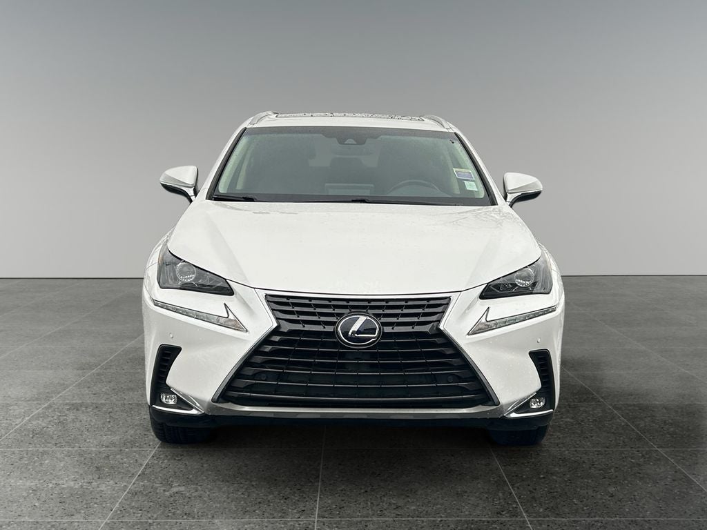 2019 Lexus NX 300h