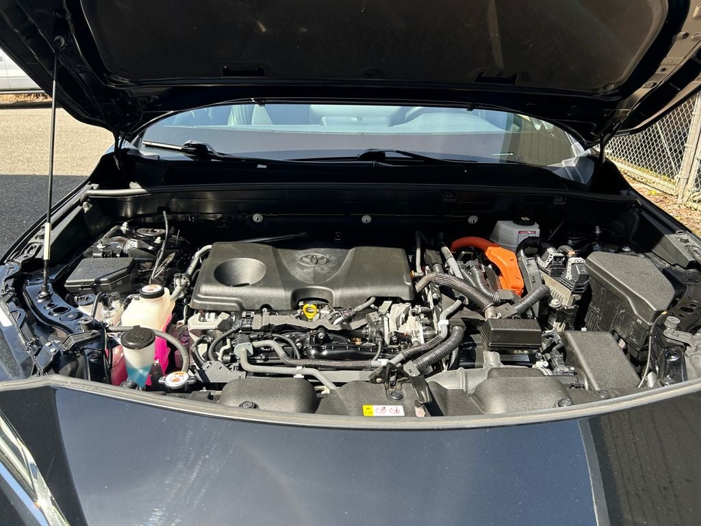 2021 Toyota Venza XLE XLE