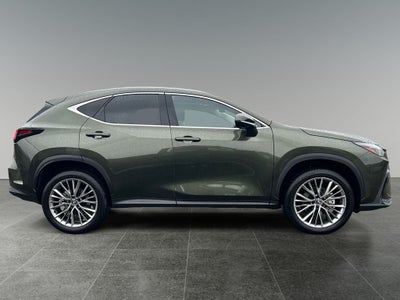 2025 Lexus NX 350h Premium