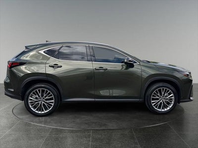 2024 Lexus NX HYBRID 350h Luxury