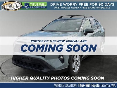 2019 Toyota RAV4 XLE