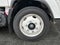 2025 Chevrolet Low Cab Forward 4500 HG MEDIUM ASH GRAY