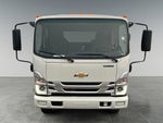 2025 Chevrolet Low Cab Forward 4500 HG MEDIUM ASH GRAY