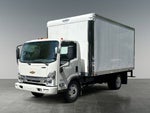 2024 Chevrolet Low Cab Forward 4500 HG MEDIUM ASH GRAY