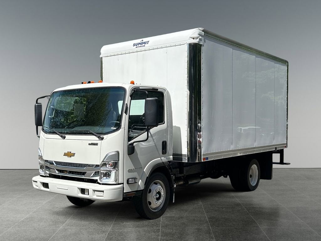 2024 Chevrolet Low Cab Forward 4500 HG MEDIUM ASH GRAY